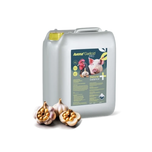 600-produkt-garlicid.webp