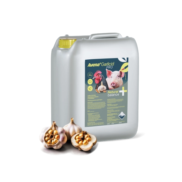 600-produkt-garlicid.webp