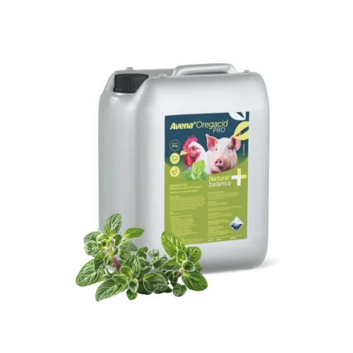 600-produkt-oregacid.webp