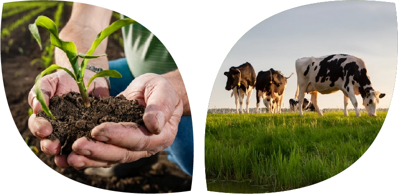 AgroExperts